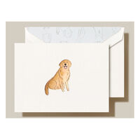 Golden Retriever Boxed Folded Note Cards