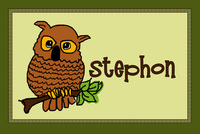 Owl Laminated Placemats