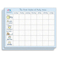 The First Weeks Baby Calendar