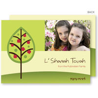 Pomegranate Branches Jewish New Year Cards