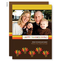 Turkeys and Turkeys Thanksgiving Photo Cards