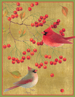 Cardinals Holiday Cards
