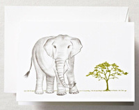 Brushstroke Elephant Boxed Folded Note Cards