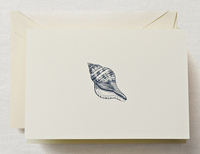 Shell Boxed Note Cards