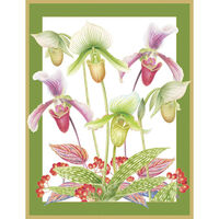 Slipper Orchids Holiday Cards